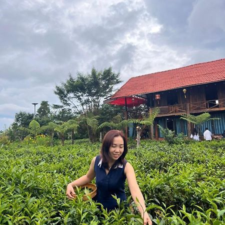 Tea Garden House Villa Bảo Lộc Ngoại thất bức ảnh