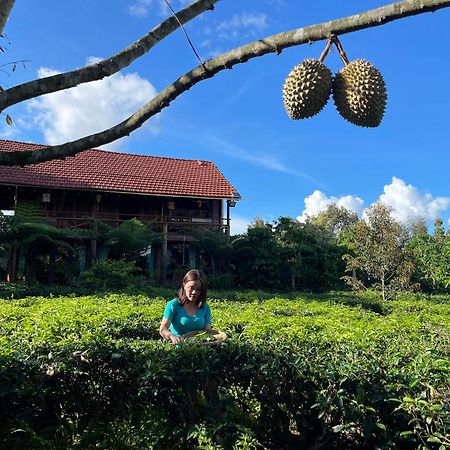 Tea Garden House Villa Bảo Lộc Ngoại thất bức ảnh