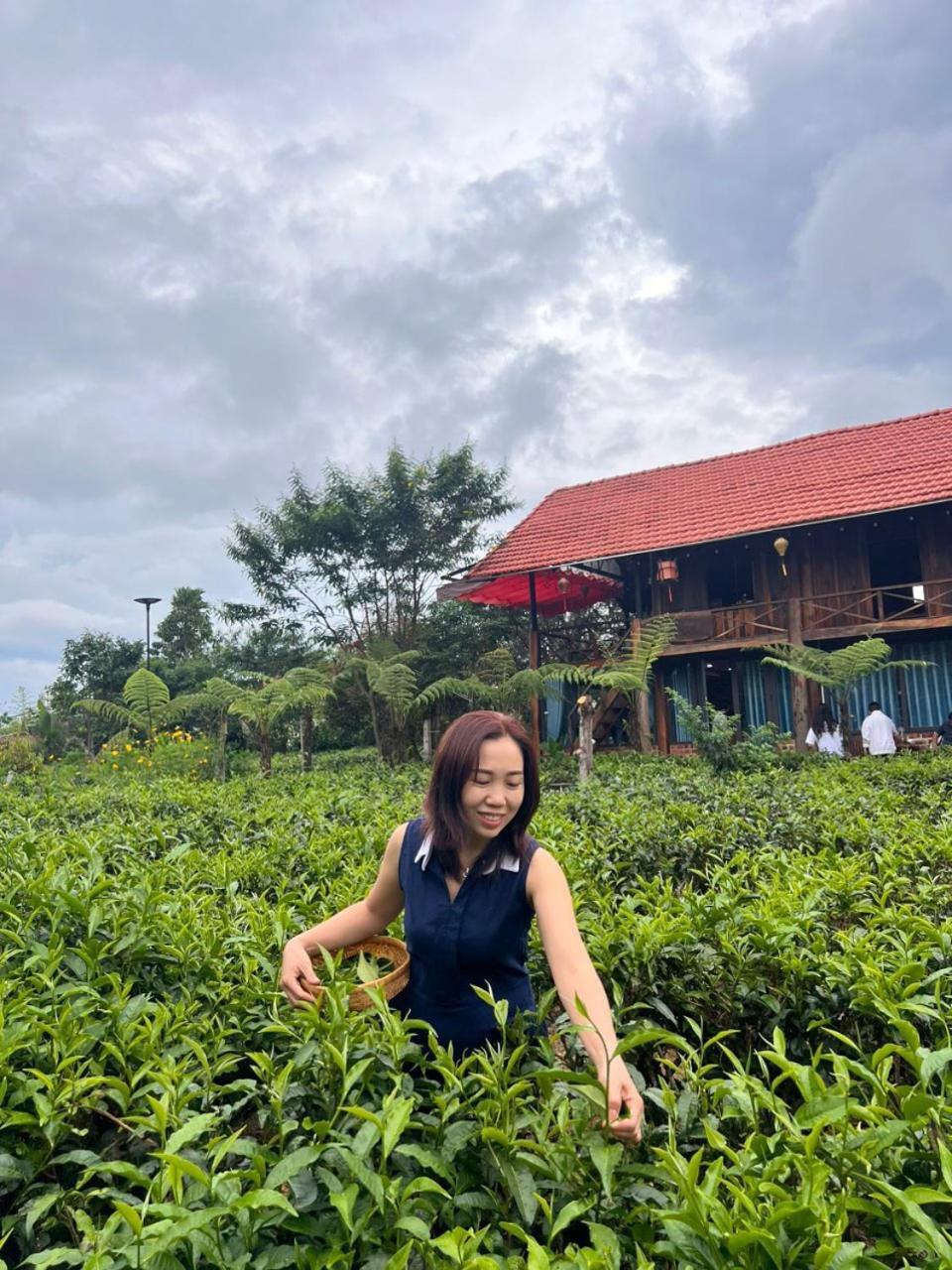 Tea Garden House Villa Bảo Lộc Ngoại thất bức ảnh