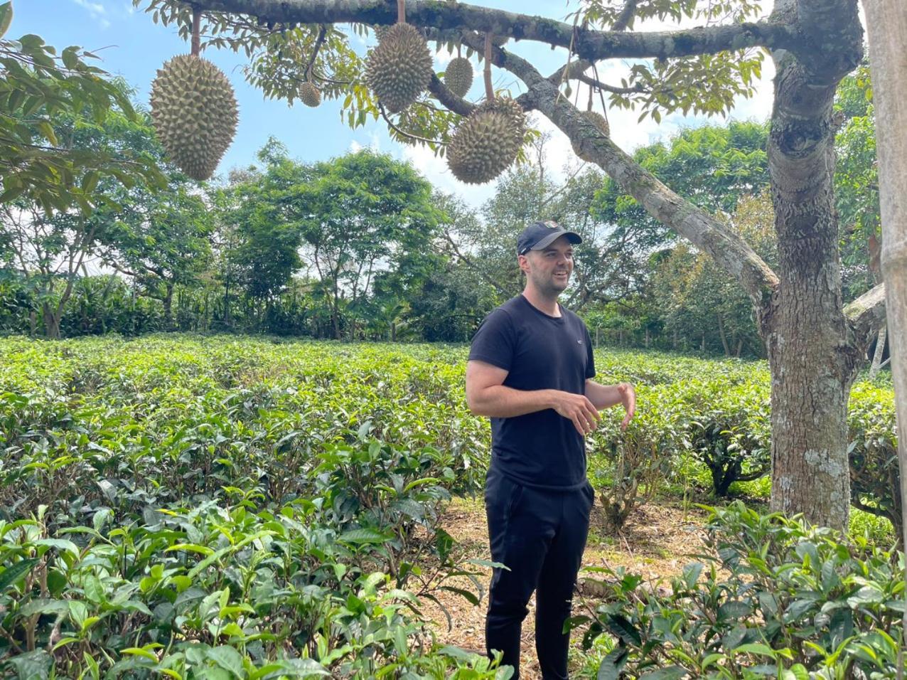 Tea Garden House Villa Bảo Lộc Ngoại thất bức ảnh