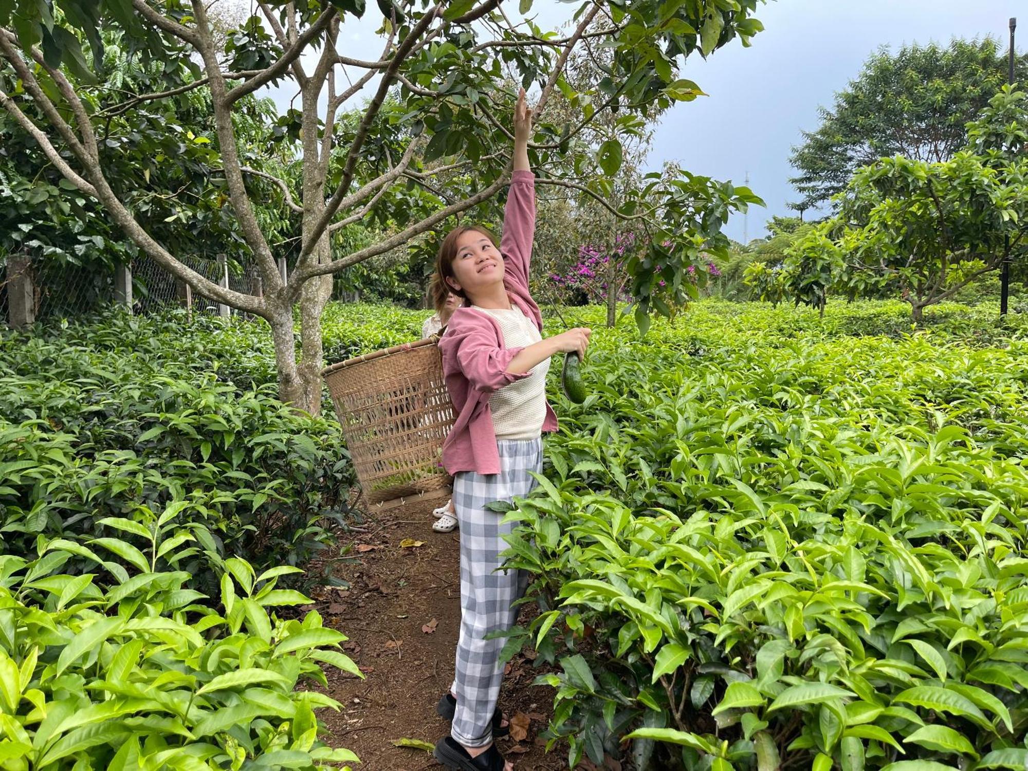Tea Garden House Villa Bảo Lộc Ngoại thất bức ảnh