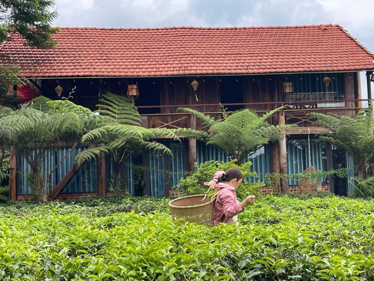 Tea Garden House Villa Bảo Lộc Ngoại thất bức ảnh