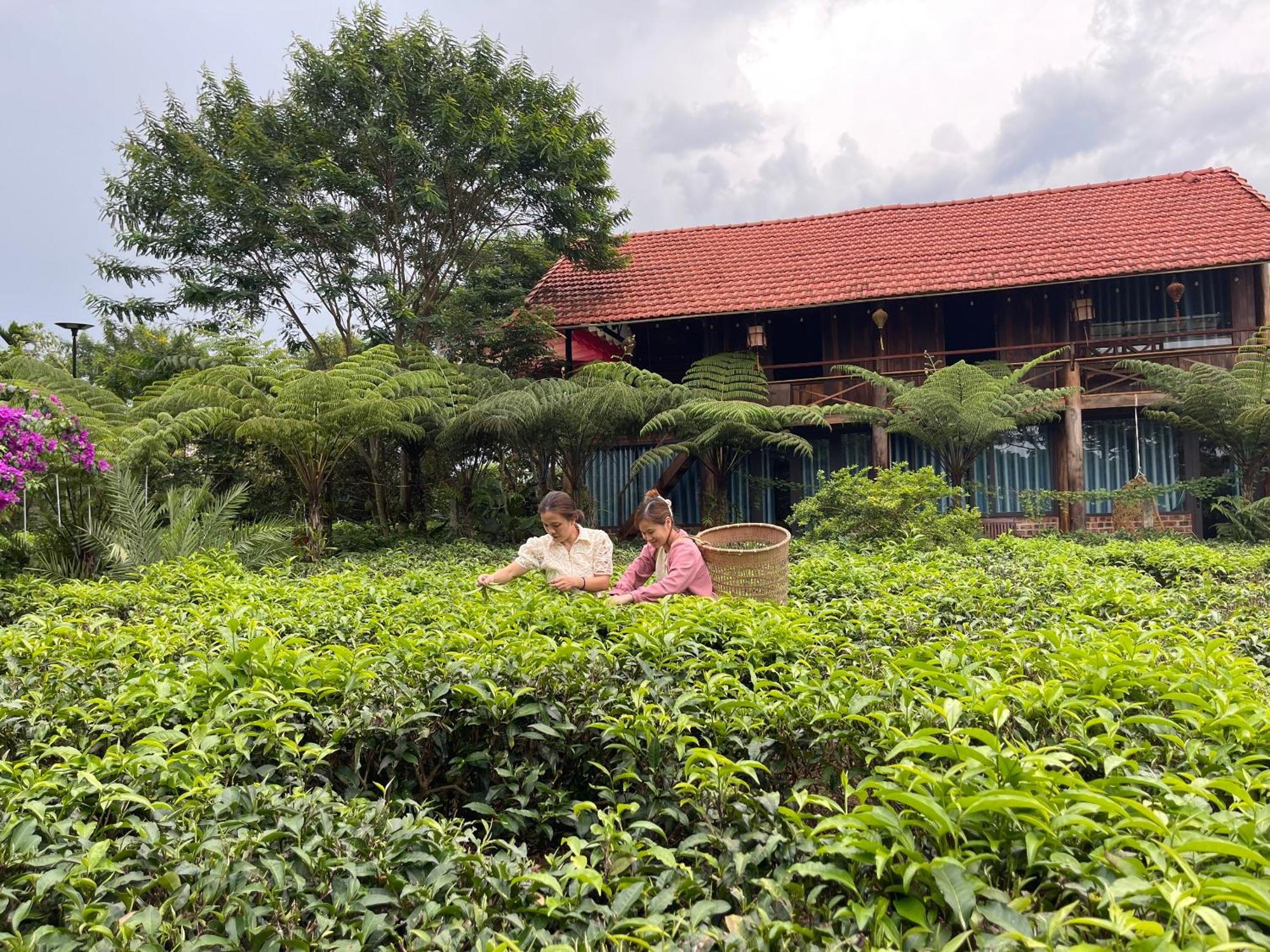 Tea Garden House Villa Bảo Lộc Ngoại thất bức ảnh
