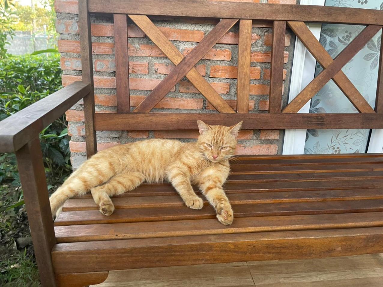Tea Garden House Villa Bảo Lộc Ngoại thất bức ảnh